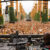 Kappa FuturFestival 2026: 11 Must-See DJ Sets