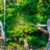Behind the Scenes: Gunna and Coco Gauff’s “Pop It” Music Video